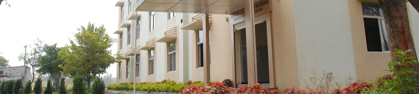 Picture of the College