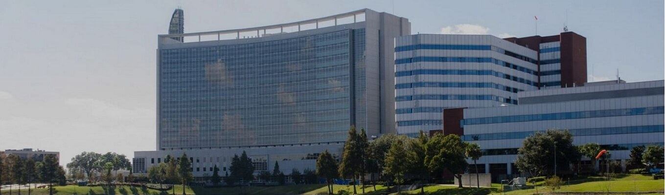 Picture of the College