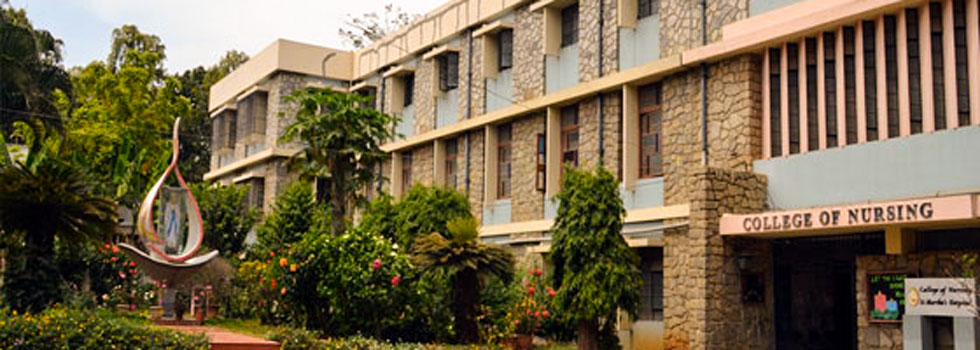 Picture of the College