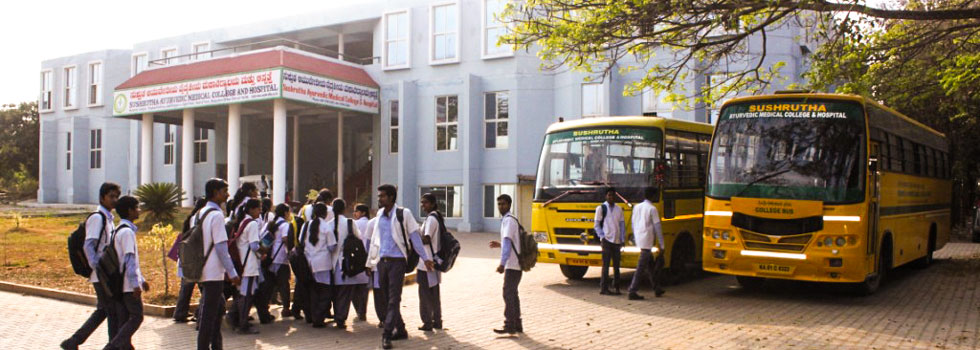Picture of the College