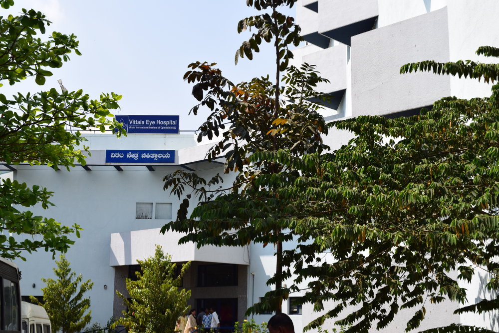 Picture of the College